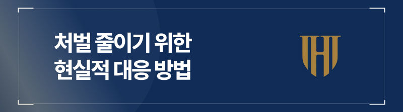 처벌 줄이기 위한 현실적 대응 방법